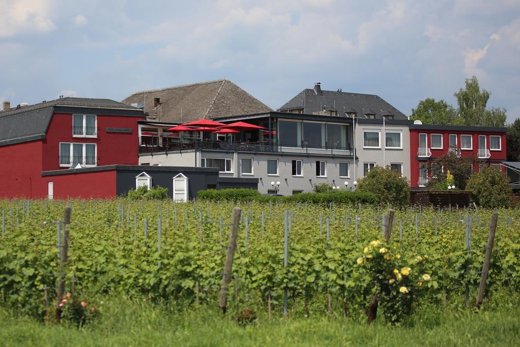 Naegler'S Fine Lounge Hotel Oestrich-Winkel Exterior foto